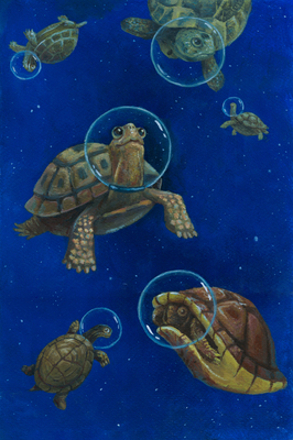Tartarughine (quadernino d'artista)-image